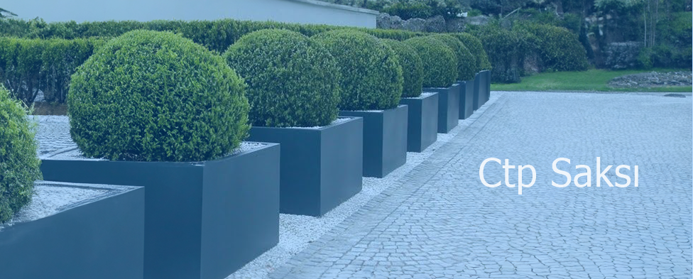 Ctp Saksı